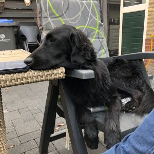 WhatsApp Image 2024-05-01 at 11.01.56